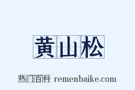 黄山松是什么意思的图片